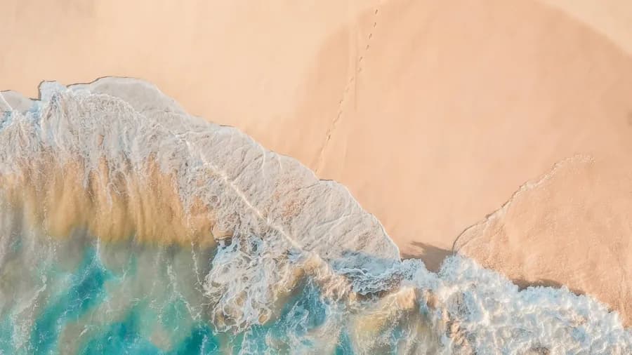 Vista aérea de una playa con una persona caminando
